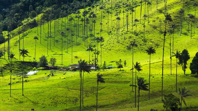 5 Amazing Villages to Visit in Colombia