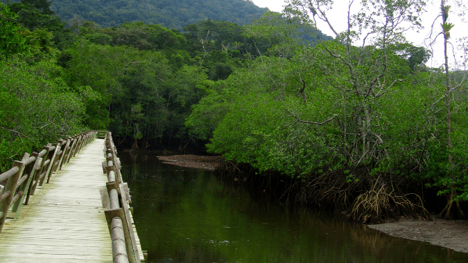 5 Reasons to visit the Colombia’s Pacific Coast
