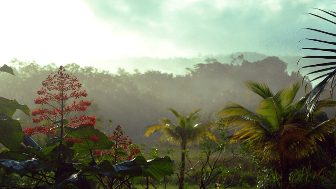 French Guiana