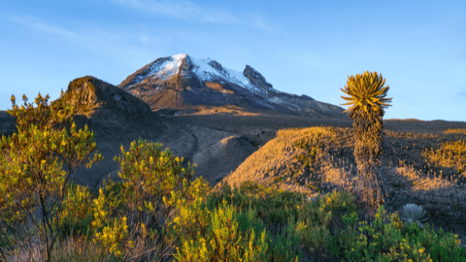 Complete Guide to Explore the Coffee Axis in the Heart of Colombia