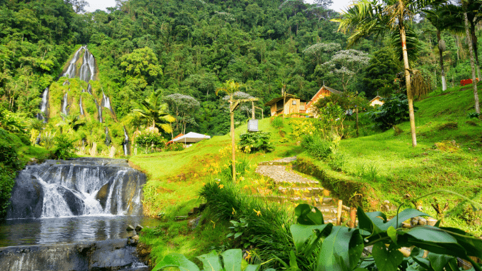 Complete Guide to Explore the Coffee Axis in the Heart of Colombia