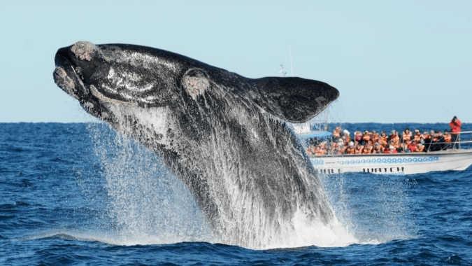 Winter Adventures in Patagonia: Essential Guide to Exploring Argentina and Chile