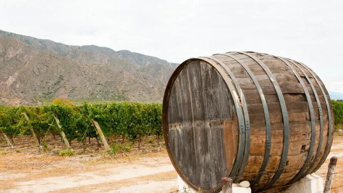 Salta in 3 Days: Wine, Mountains and Andean Culture