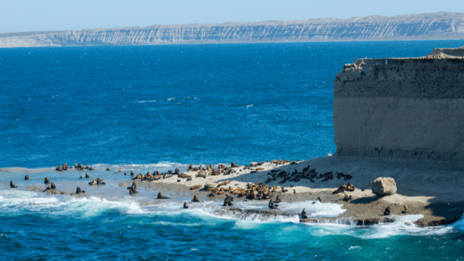Guía para Cruceristas en Argentina: excursiones y recomendaciones