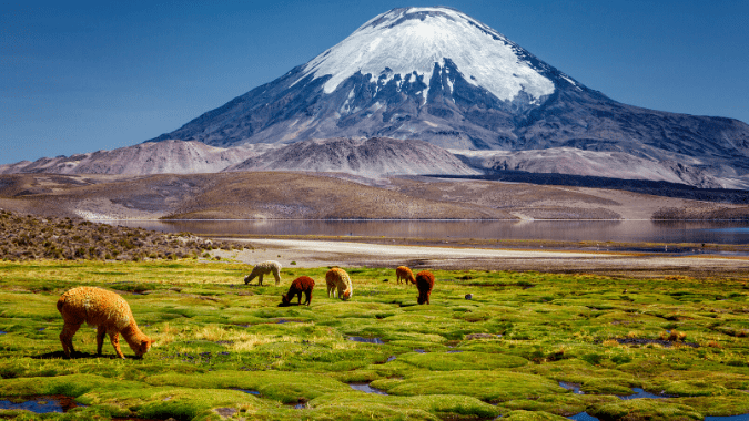La Ruta de los Siete Lagos en Chile: Qué hacer y a dónde ir