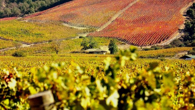 Valle de Colchagua