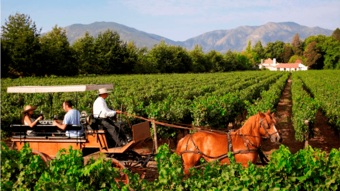 Valle de Colchagua