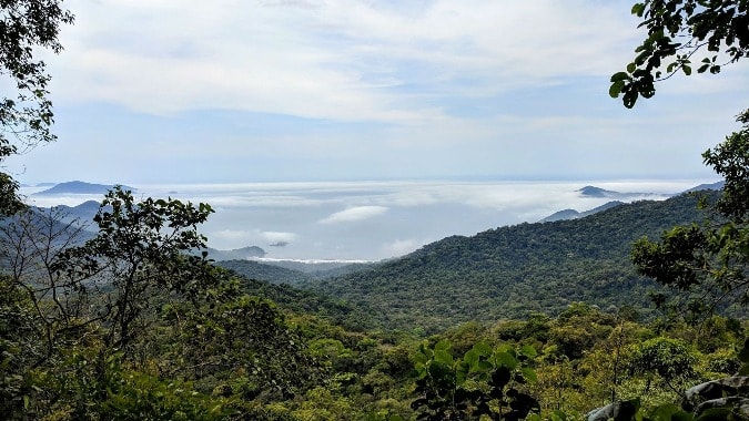biodiversidad