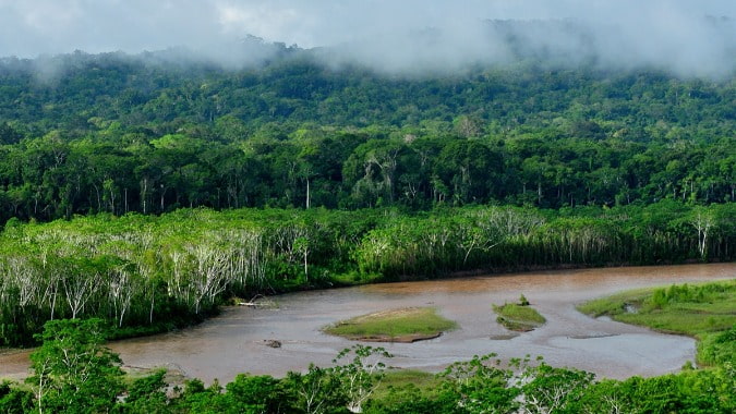 biodiversidad