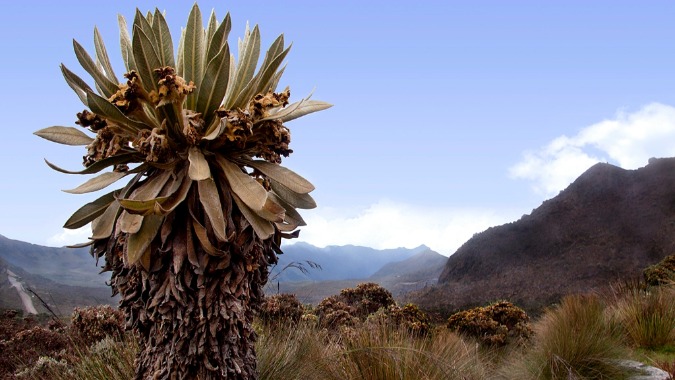 biodiversidad