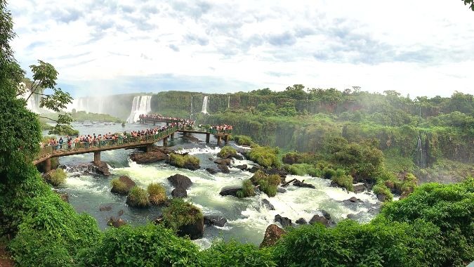 biodiversidad