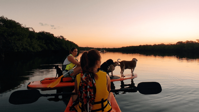 El turismo en Boipeba está muy concienciado con la preservación medioambiental de su riqueza natural, por lo que las excursiones y actividades tienen una orientación ecológica y sostenible. / Foto: Tiffany Flour