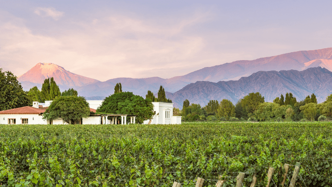Descubriendo Mendoza: Una Experiencia Enológica y Gastronómica Inolvidable