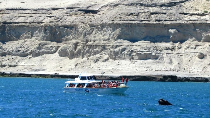 Guia de Viagem Puerto Madryn