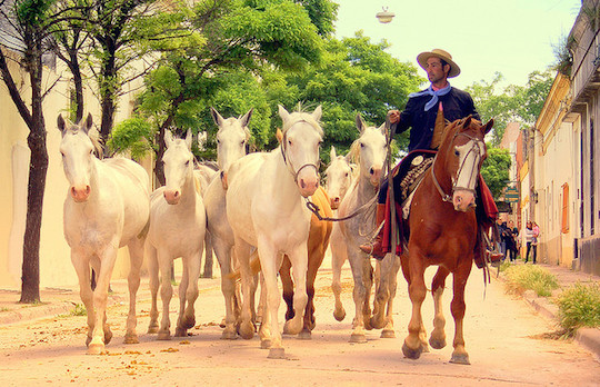 San Antonio de Areco | Gaucho Culture