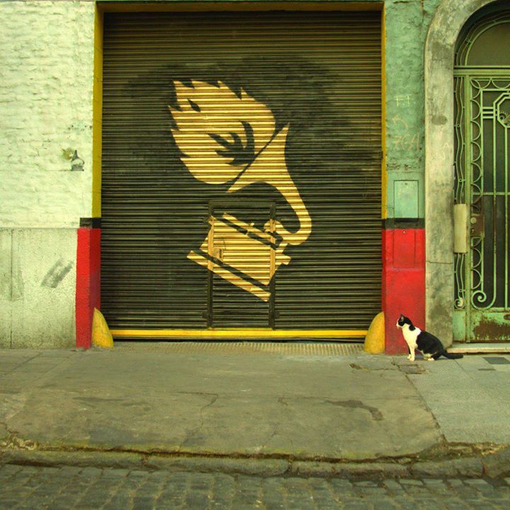 El CAFF entrance