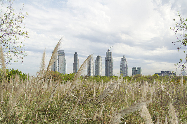 View of Buenos Aires from the beautiful Costanera Sur 