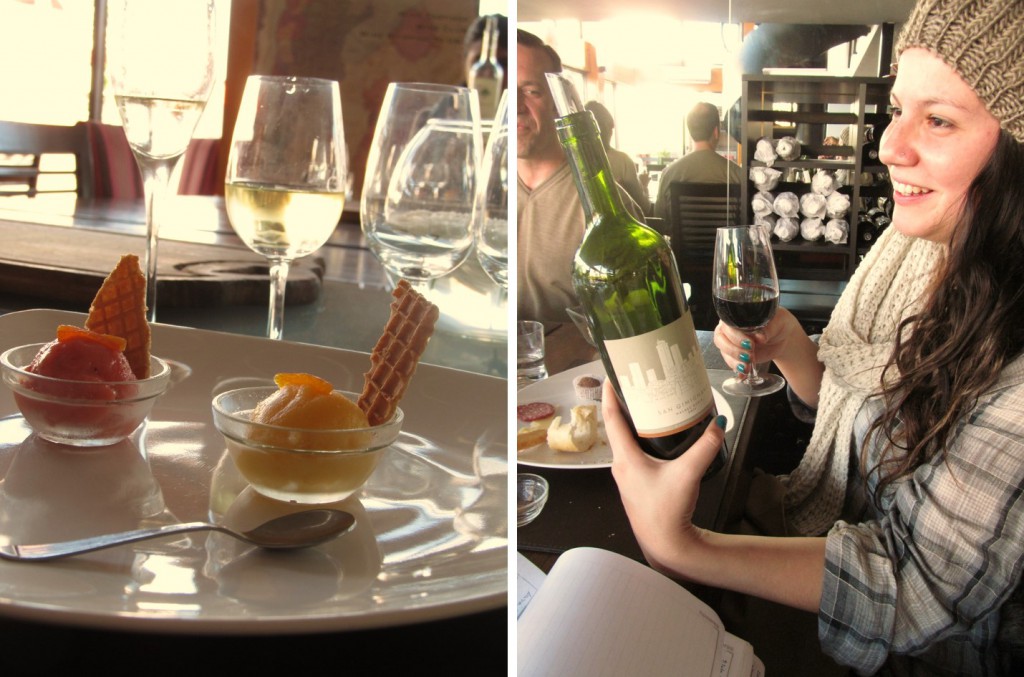 Wine tasting in Buenos Aires | Anuva Wines