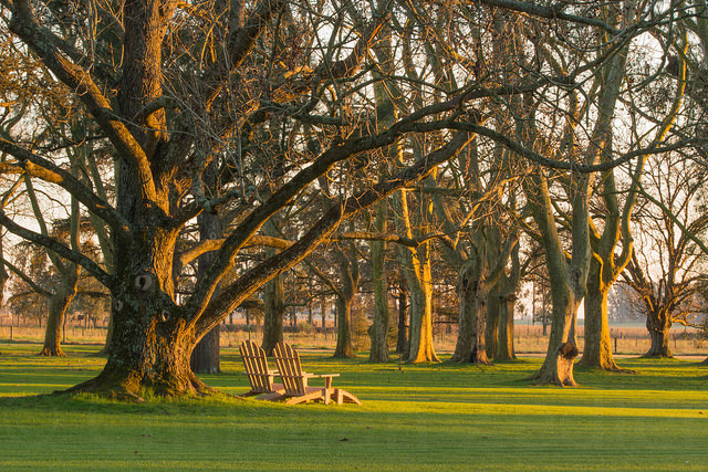 Nature in San Antonio de Areco | Bsas4u