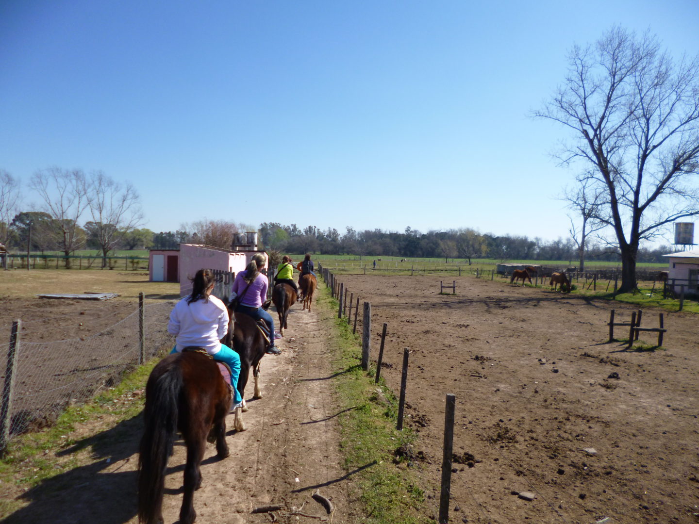 Horse riding