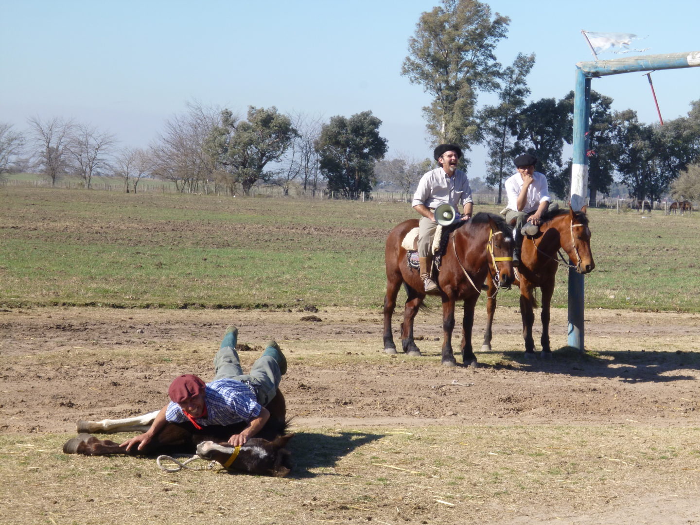 Gaucho skills show | Bsas4u