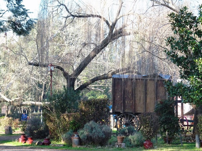 The beautiful grounds of the ranch