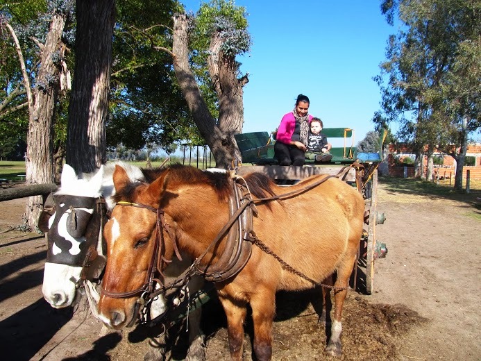 Going for a ride in a horse drawn carriage is great fun for kids