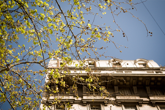 Building in Buenos Aires | Bsas4u