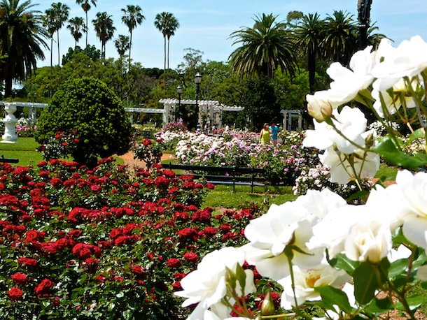 El Rosedal | Romantic Places in Buenos Aires