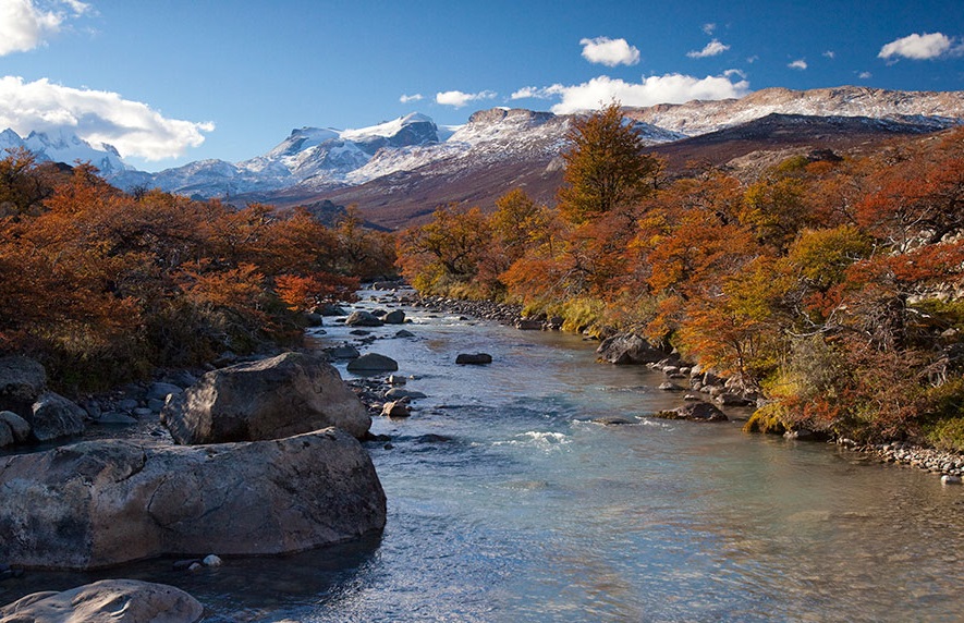 Things To Do in El Calafate