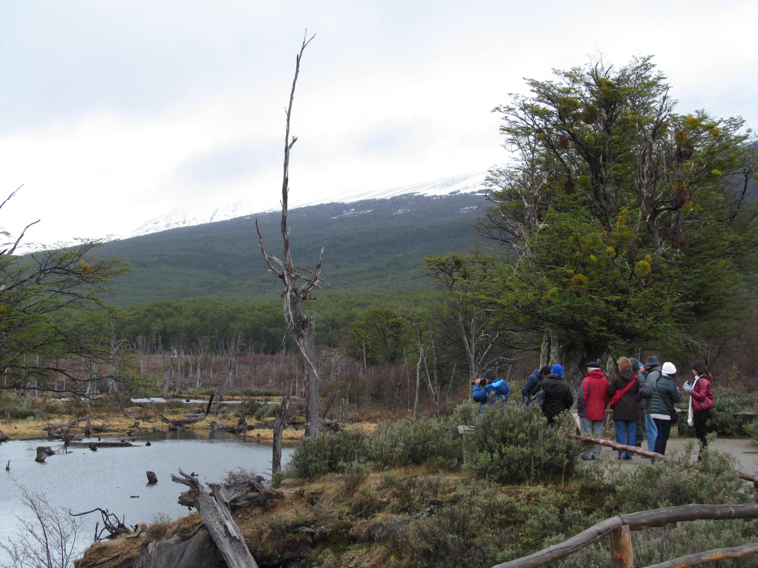 Recorrido Parque Nacional Tierra del Fuego | Argentina4u