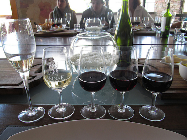 Cata de vinos Anuva | Daytours4u