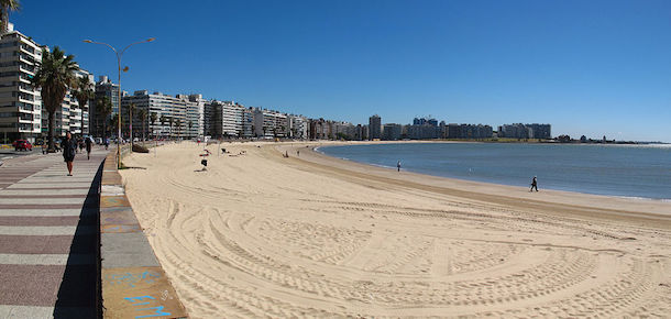 Playa Pocitos, Montevideo