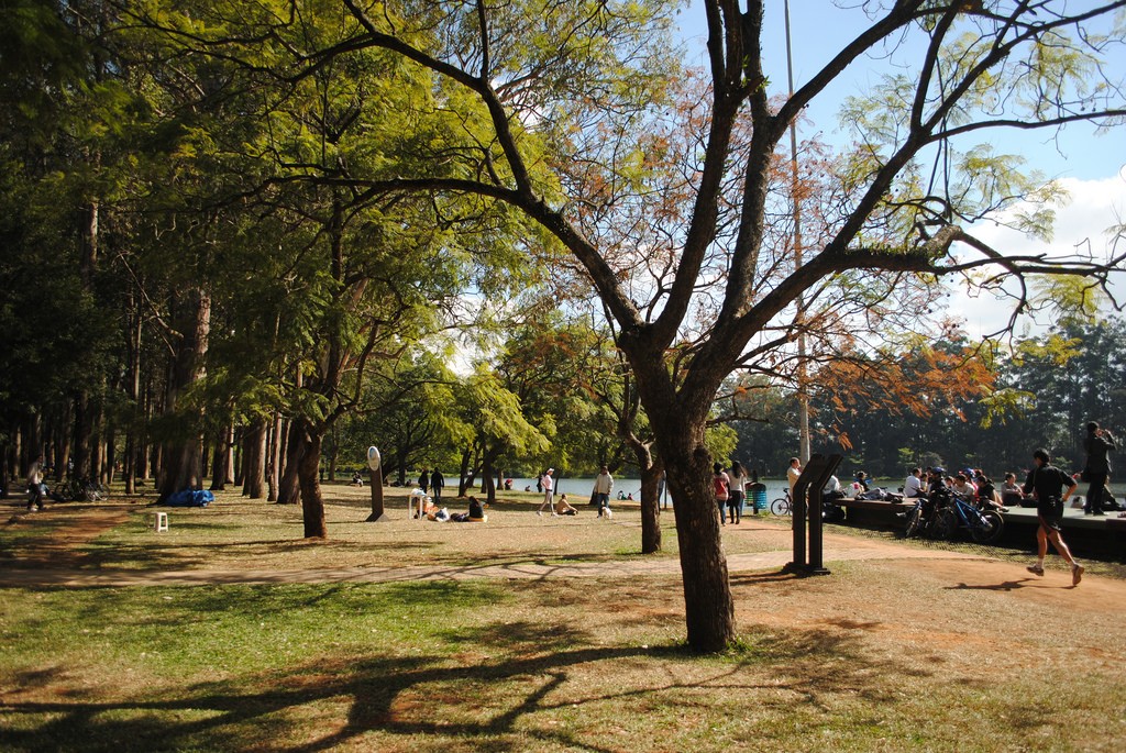 parque ibirapuera