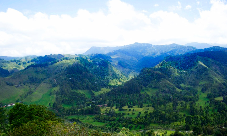 Colombia Coffee Triangle / Colombia4u