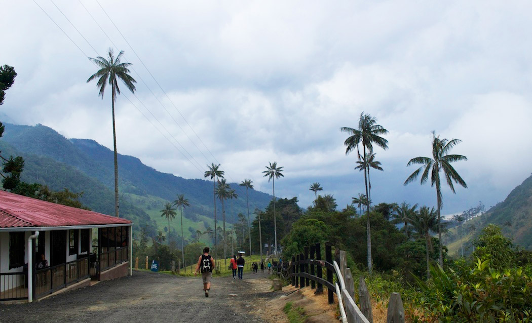 Colombia Coffee Triangle / Colombia4u